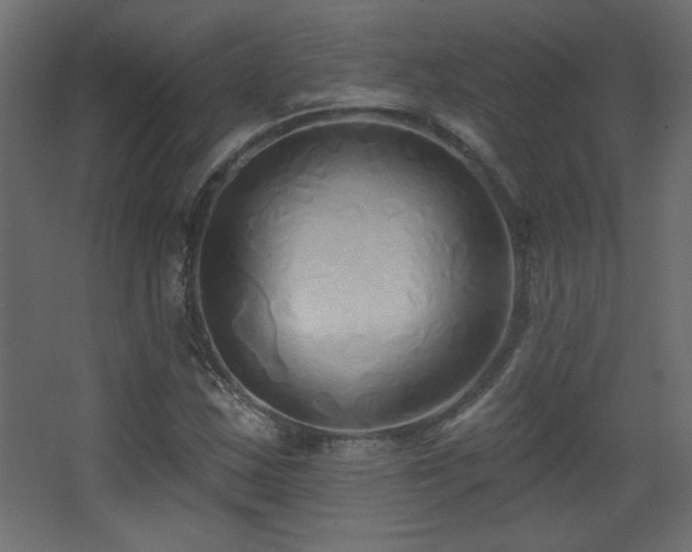 X0000068321163200604211158