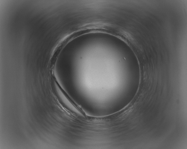 X0000068321164200604211158