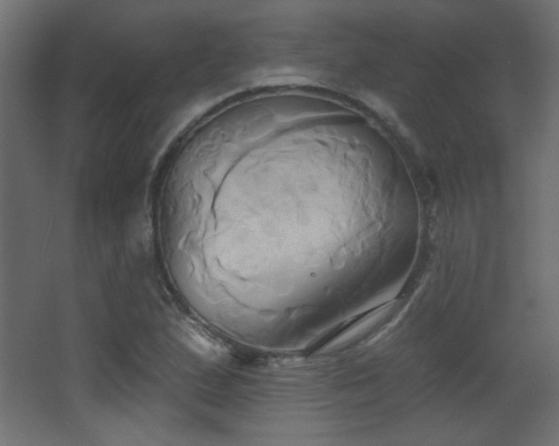 X0000068321167200604211157