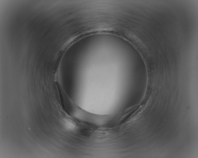 X0000068321169200604211157