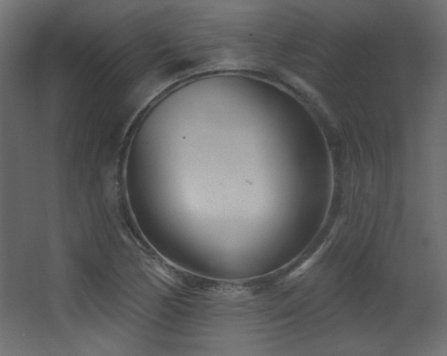X0000068321170200604211157