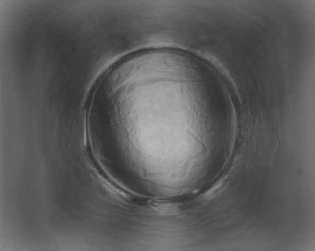 X0000068321175200604211157