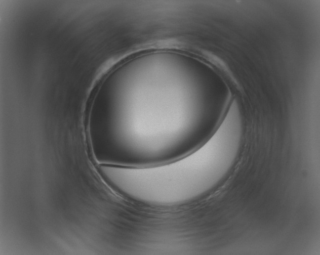 X0000068321176200604211157
