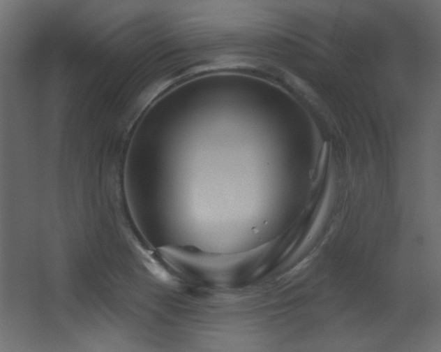 X0000068321177200604211157