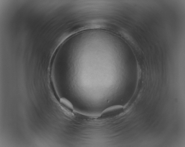 X0000068321178200604211157