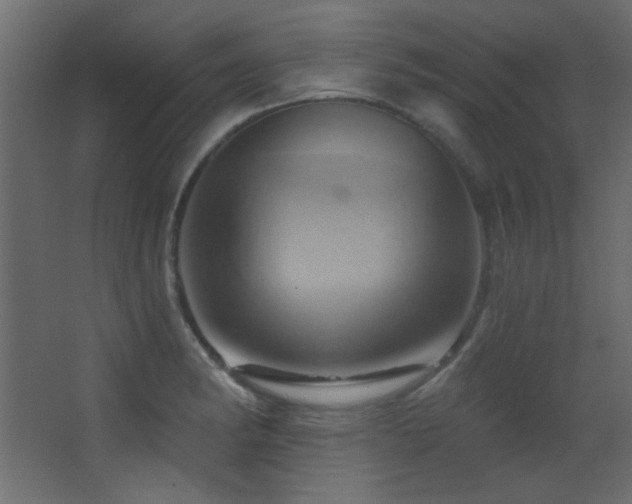 X0000068321182200604211157