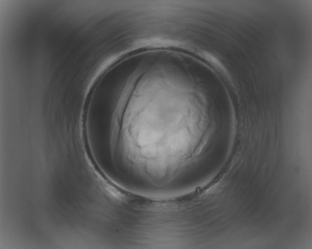 X0000068321183200604211157