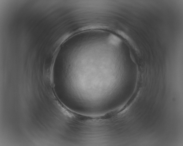 X0000068321185200604211157