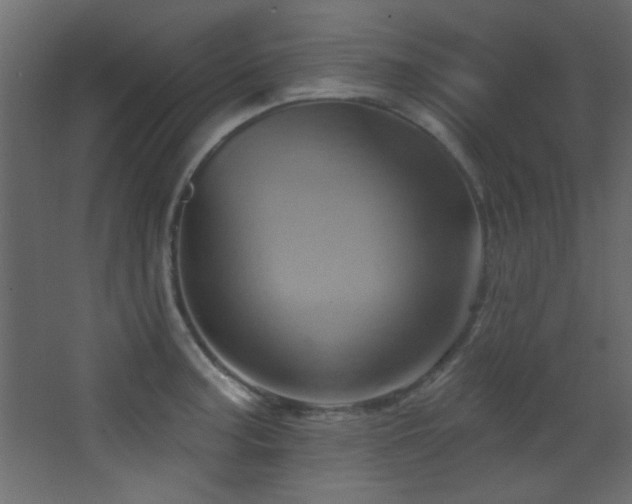 X0000068321187200604211157