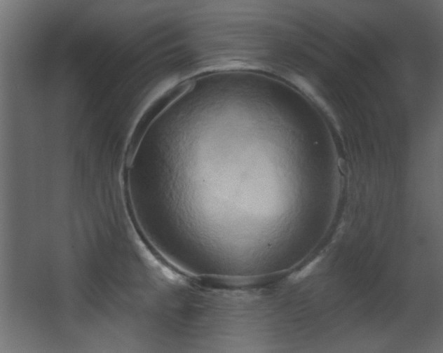 X0000068321189200604211157