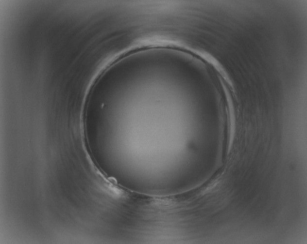 X0000068321191200604211157