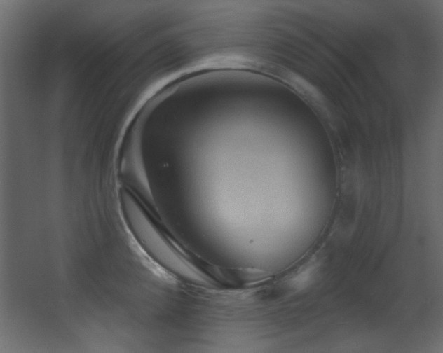 X0000068321192200604211157