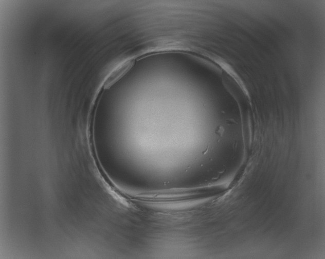 X0000068321197200604211157