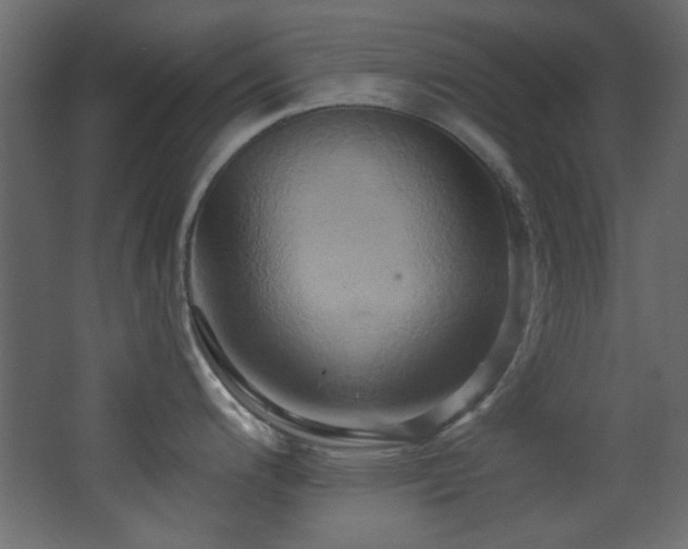 X0000068321200200604211157