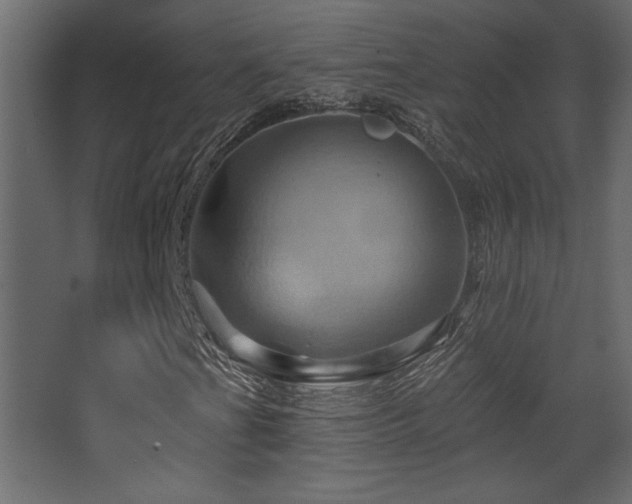X0000068321201200604211156