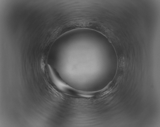 X0000068321202200604211156