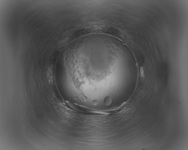 X0000068321203200604211156