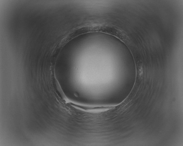 X0000068321204200604211156