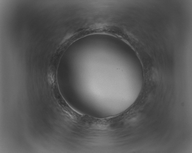X0000068321206200604211156