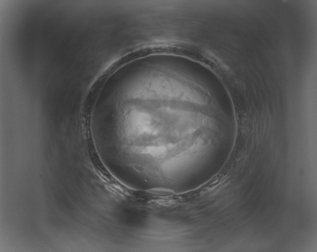 X0000068321208200604211156