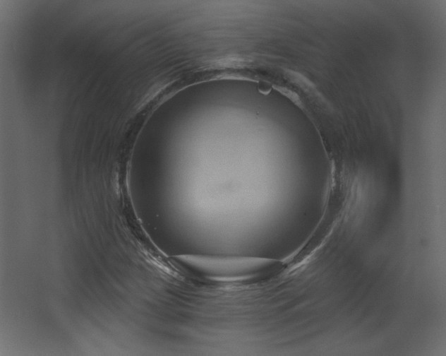 X0000068321209200604211156