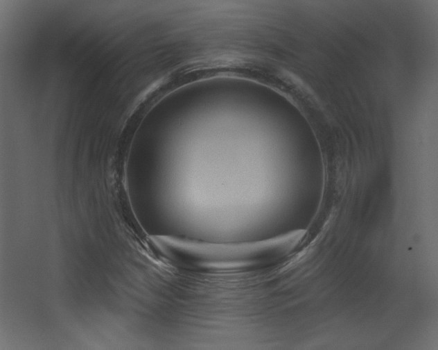 X0000068321210200604211156