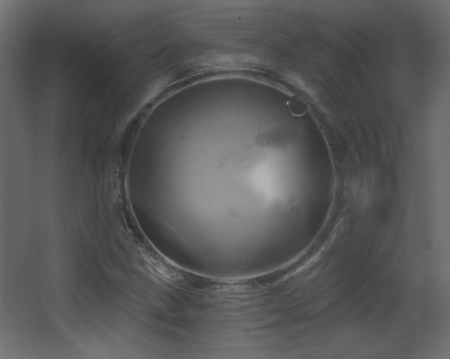 X0000068321211200604211156