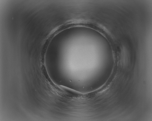 X0000068321213200604211156