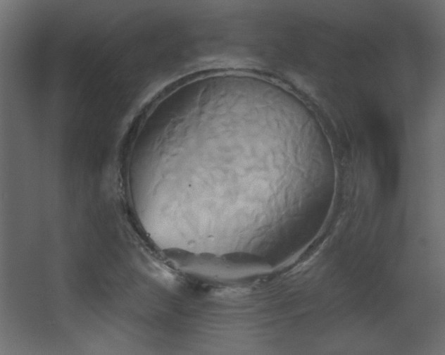 X0000068321215200604211156