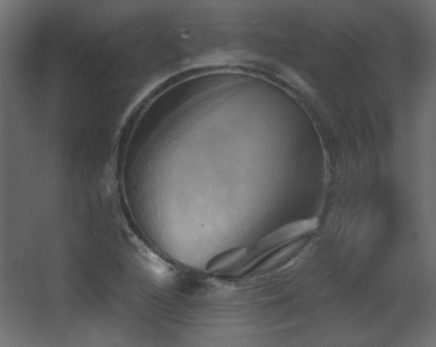 X0000068321216200604211156