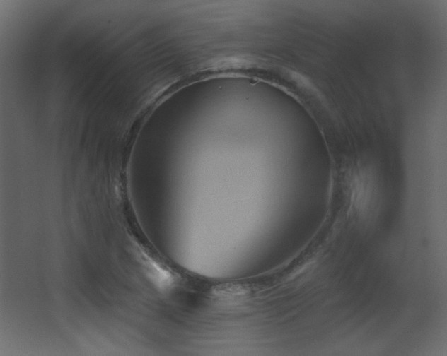 X0000068321217200604211156