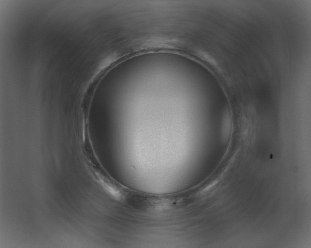 X0000068321219200604211156