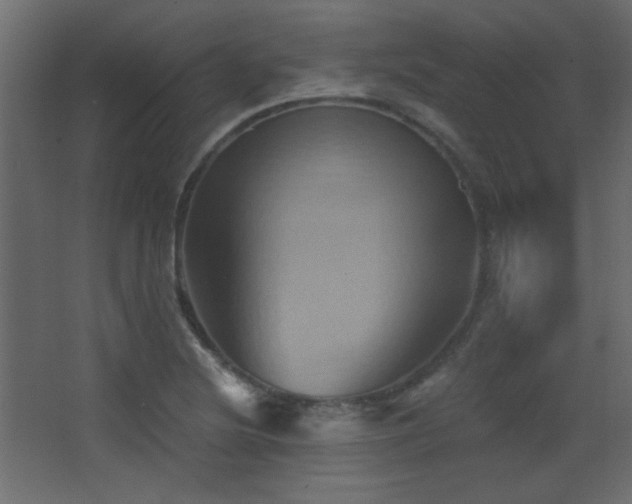 X0000068321220200604211156