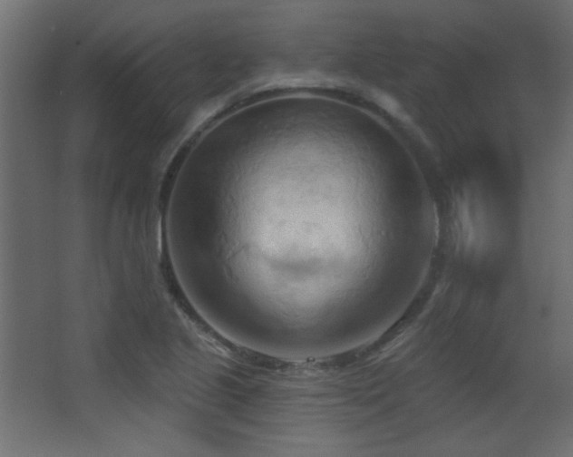 X0000068321221200604211156