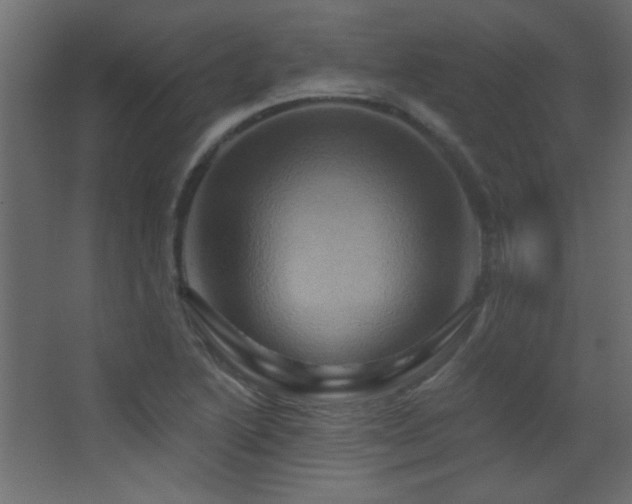 X0000068321222200604211156