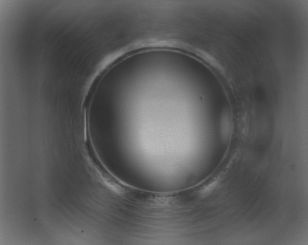 X0000068321223200604211156