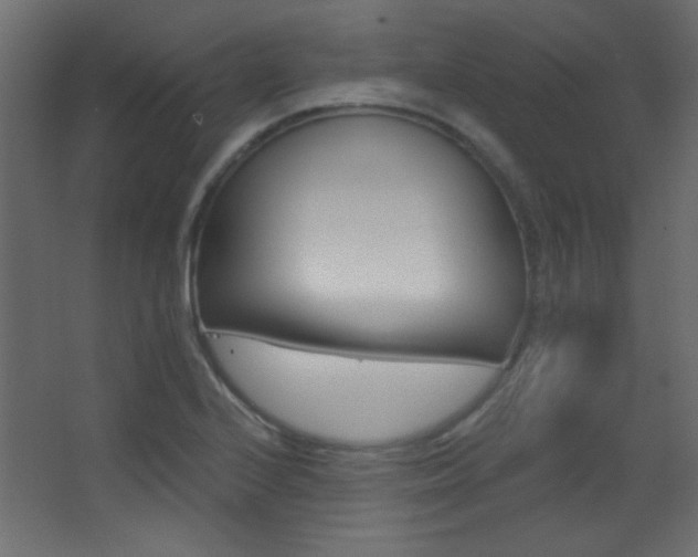 X0000068321224200604211157