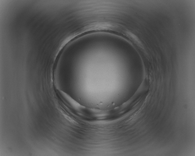X0000068321226200604211157