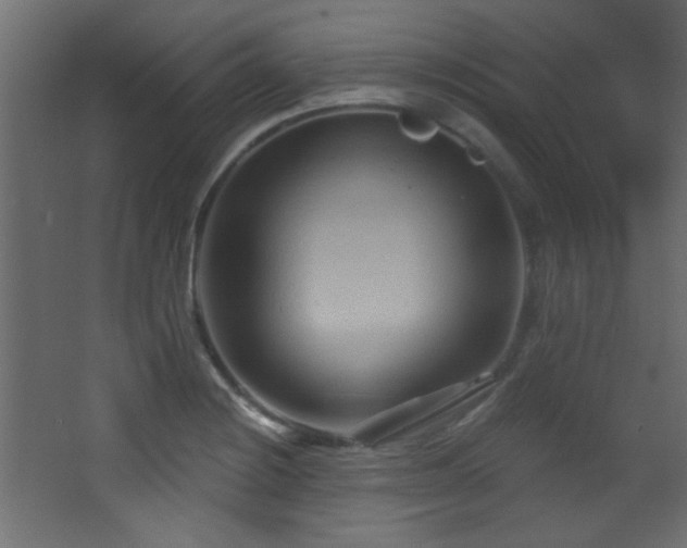 X0000068321228200604211157