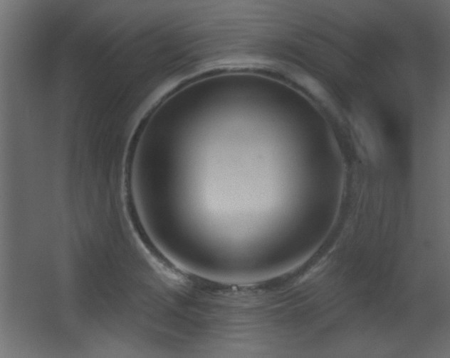 X0000068321229200604211157