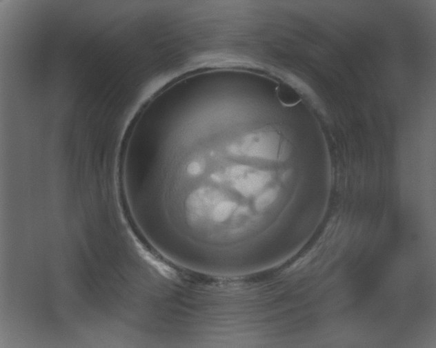 X0000068321231200604211157
