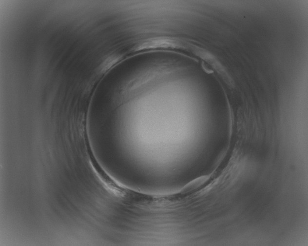X0000068321233200604211157