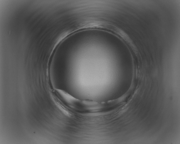 X0000068321234200604211157