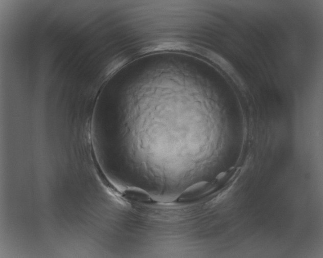 X0000068321241200604211157