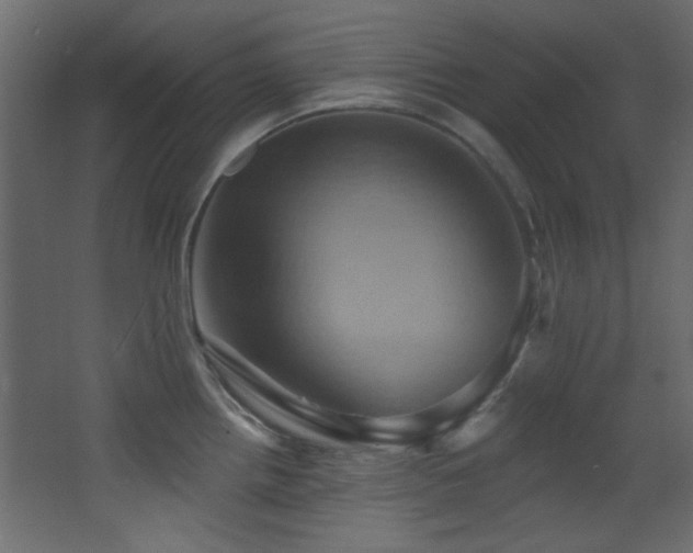X0000068321242200604211157