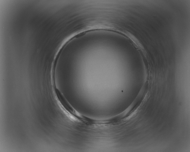X0000068321246200604211157