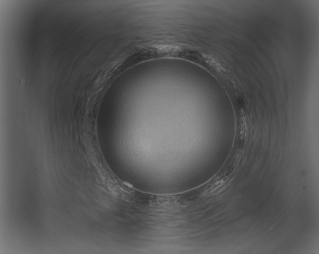 X0000068321249200604211156