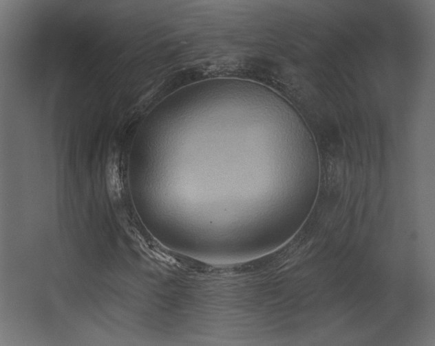 X0000068321250200604211156