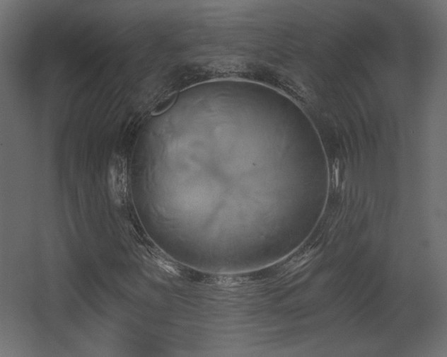 X0000068321251200604211156
