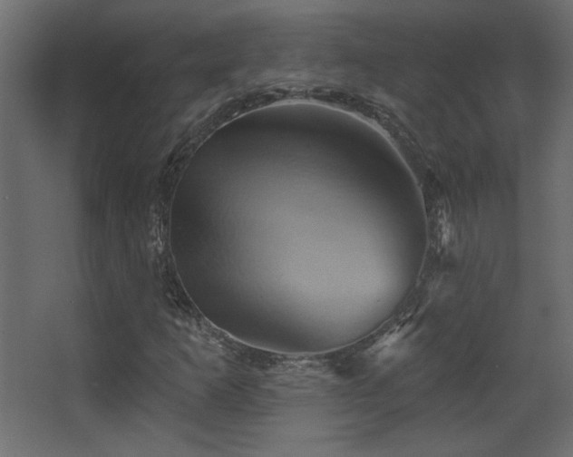 X0000068321253200604211156
